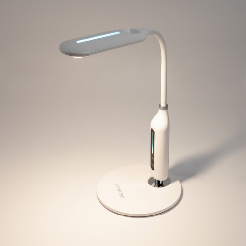 Настольная лампа офисная Eurosvet Soft 80503/1 белый 8W фото 2