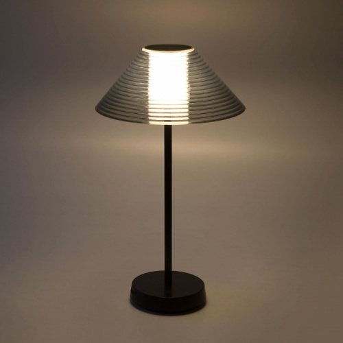 Настольная лампа декоративная Elektrostandard Mistery a062381 фото 4