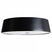 Настольная лампа декоративная Deko-Light Head Magnetic Light Miram 346032
