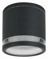 Накладной светильник Arte Lamp Nunki A1910PF-1BK
