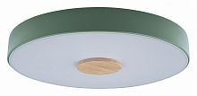 Накладной светильник Loft it Axel 2 10003/24 Green