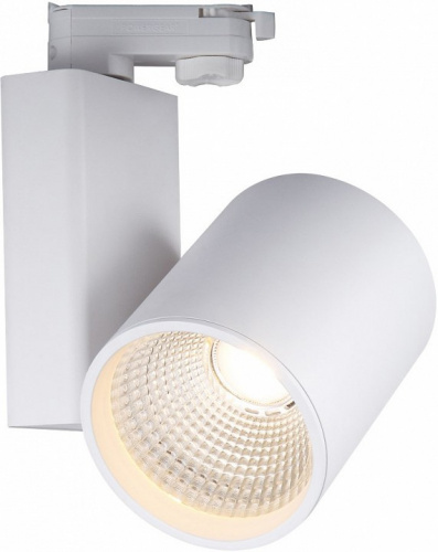 Светильник на штанге Smart Lamps Flash TL-ET-G06040WW-38-4 фото 2