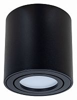 Накладной светильник Arte Lamp Beid A1513PL-1BK