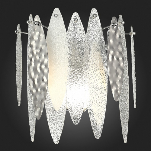 Накладной светильник ST-Luce Lastra SL1224.101.02 фото 3