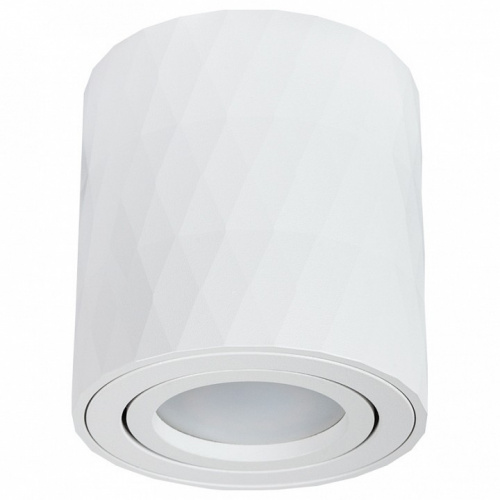 Накладной светильник Arte Lamp Fang A5559PL-1WH