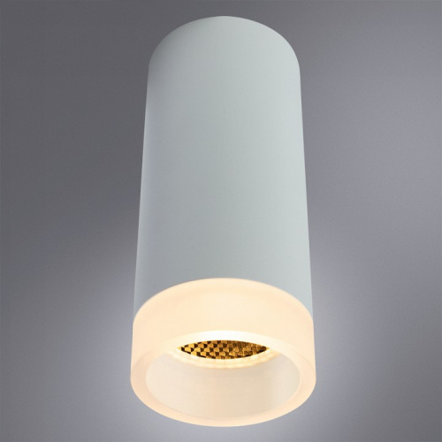 Накладной светильник Arte Lamp Ogma A5556PL-1WH фото 2