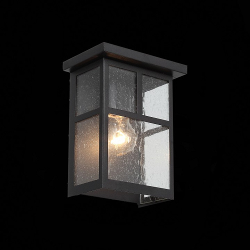Накладной светильник ST-Luce Glazgo SL079.401.01 фото 2