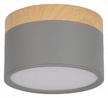 Накладной светильник Loft it Grape 10162 Grey