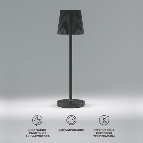 Настольная лампа декоративная Elektrostandard Mist a063970 фото 4