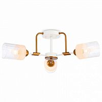 Потолочная люстра Ambrella Light TR TR303321