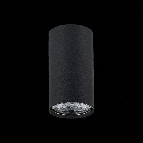 Накладной светильник ST-Luce Simplus ST110.407.01 фото 4