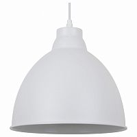 Подвесной светильник Arte Lamp Braccio A2055SP-1WH