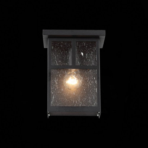 Накладной светильник ST-Luce Glazgo SL079.401.01 фото 5