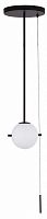 Светильник на штанге Loft it Signal 10029PS Black