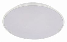 Накладной светильник Loft it Brim 10226 White