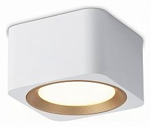 Накладной светильник Ambrella Light TN TN70831