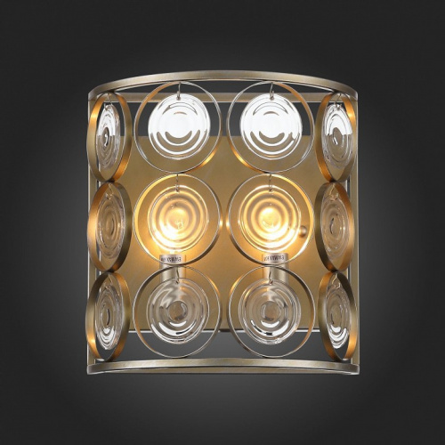 Накладной светильник ST-Luce Seranda SL1105.201.02 фото 4