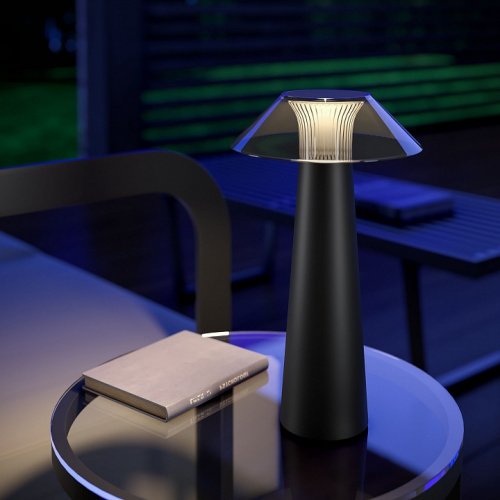 Настольная лампа декоративная Elektrostandard Future a062379 фото 3