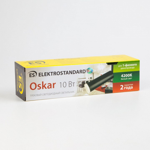 Светильник на штанге Elektrostandard Oskar a040964 фото 6