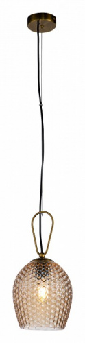 Подвесной светильник Indigo Armonia 11001/1P Brass фото 2